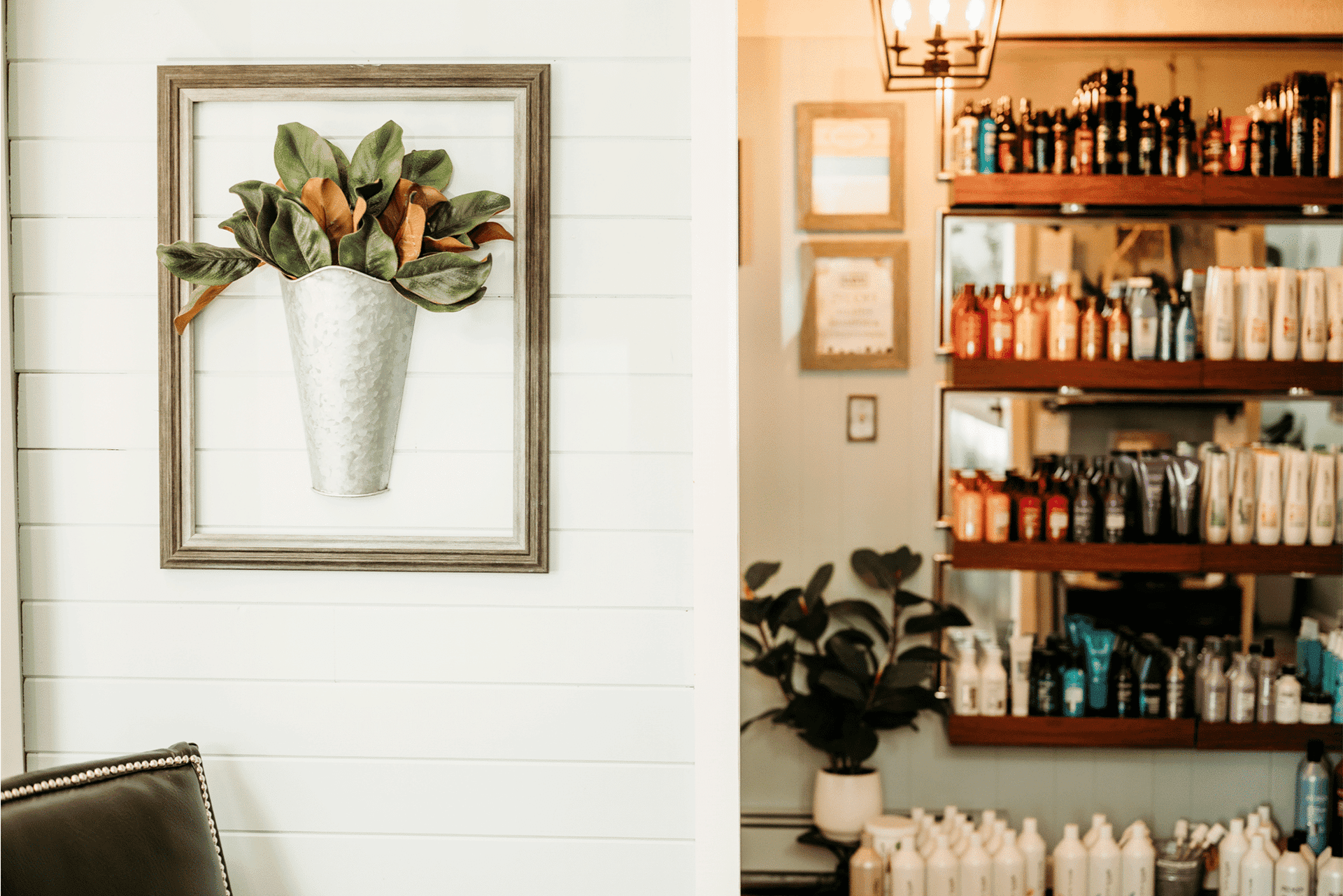 Framed plant decor and shelves of hair products in a cozy salon interior.